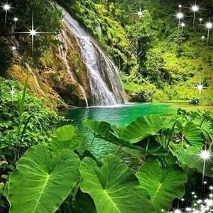 Meet your Posher, Walden